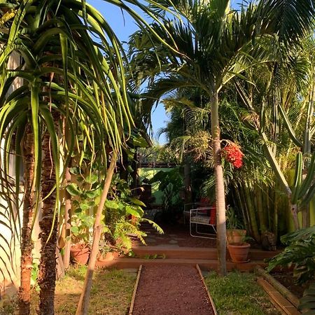 Le Dodo Sale Apartment L'Etang-Sale Luaran gambar