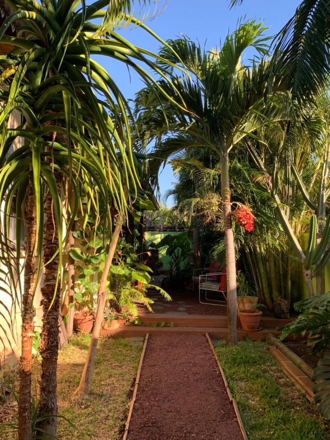 Le Dodo Sale Apartment L'Etang-Sale Luaran gambar